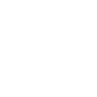 Google Plus icon